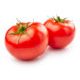 Tomates rondes sur fond blanc