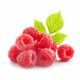 Framboises sur fond blanc